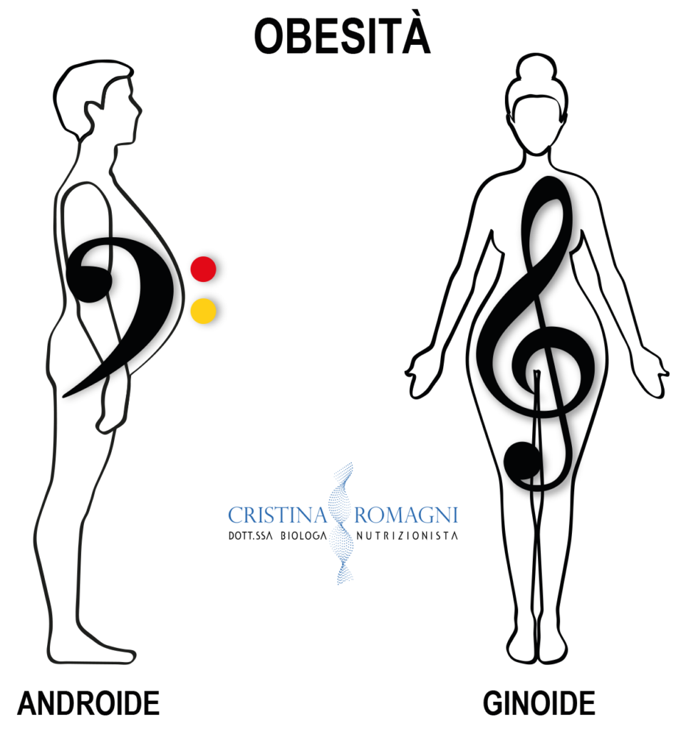 obesita-genoide-androide